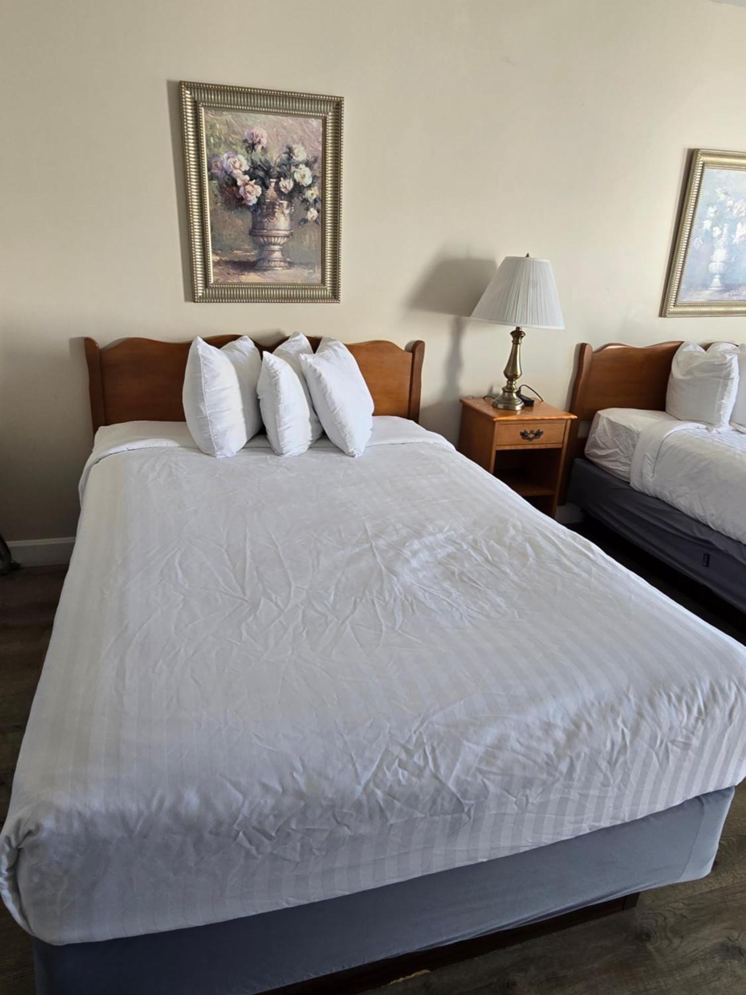 Travelodge By Wyndham פורט אלגין מראה חיצוני תמונה